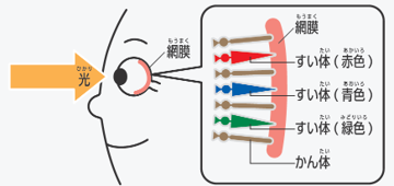 光の三原色
