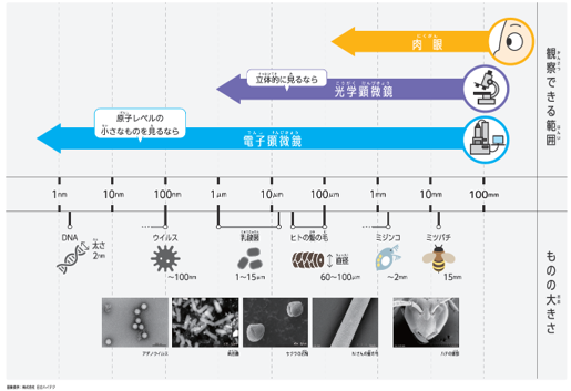 電子顕微鏡