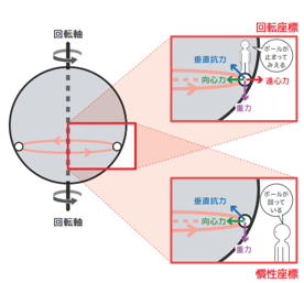 ボールの輪