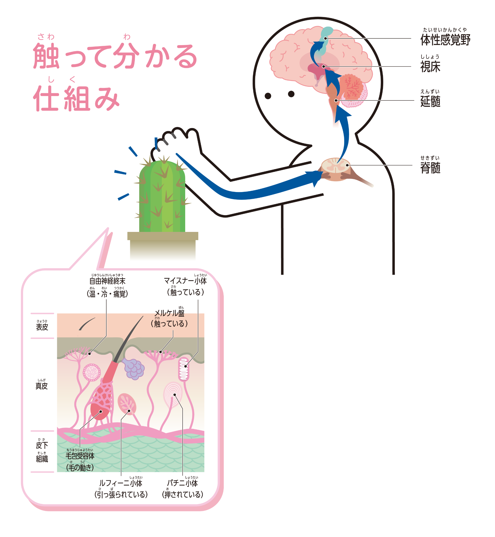 ハンズオンクイズ