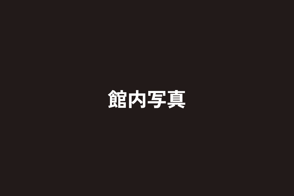 宇宙ゾーン館内写真