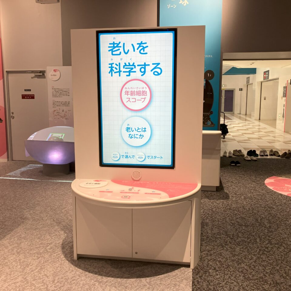 老化と細胞